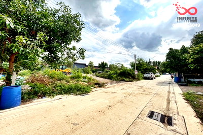 ที่ดิน ดรีมเวิลด์ : ขายที่ดิน 1 ไร่ ชลมาร์คพิจารณ์  เลียบคลอง 3 ลำลูกกา  ซอยนอนิมทอง คูคต ปทุมธานี แปลงสวย ถมแล้ว
