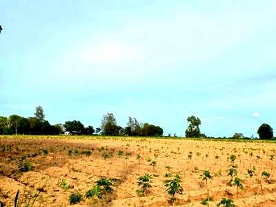 Land for sale Pornprapanimit Road : Beautiful land for sale near Mab Prachan Reservoir, Pattaya, Bang Lamung, Chonburi.