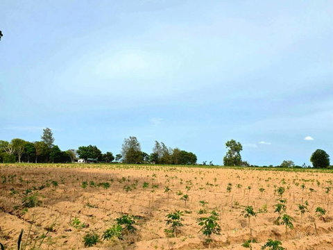 Beautiful land for sale near Mab Prachan Reservoir, Pattaya, Bang Lamung, Chonburi.