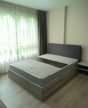 D condo dome-rangsit...........
