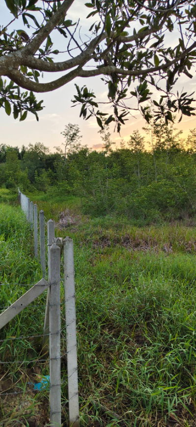 รูป ที่ดิน ร่อนทอง บางสะพาน ประจวบ ใกล้แหล่งชุมชน หน้ากว่าง 100 เมตร - รูปที่ 8/9