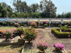 listing thumbnail image 15