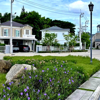 บ้านแฝดให้เช่า : ให้เช่า บ้านแฝดโครงการ อัญญ่า บางนา รามคำแหง2 GH595