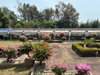 listing thumbnail image 13