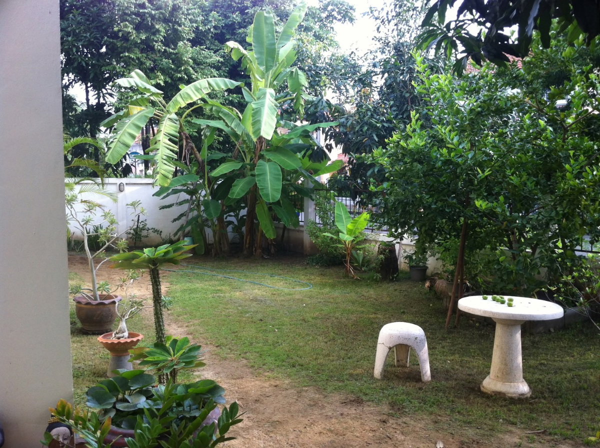 รูป ขายบ้านเดี่ยว หลังหัวมุม ลลิลอินเดอะพาร์ค วัชรพล 3 - รูปที่ 4/10