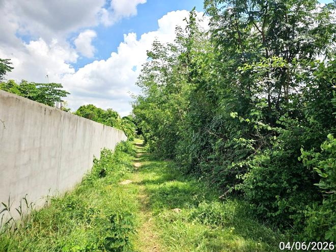 รูป ที่ดินว่างเปล่า 3912.5 ตร.วา บางระกำ พิษณุโลก 1.4M - รูปที่ 7/19