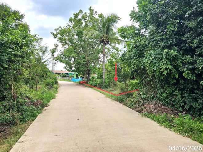 รูป ที่ดินว่างเปล่า 3912.5 ตร.วา บางระกำ พิษณุโลก 1.4M - รูปที่ 2/19