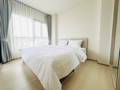 P-55307 Looking for a pet-friendly condo for rent? PYNN Pridi 20 1 Bed 7th Floor City View Near BTS Phra Khanong Line: @easythaihome 085-592-2897