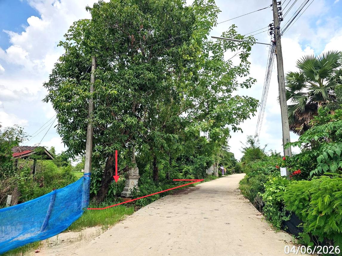 รูป ที่ดินว่างเปล่า 3912.5 ตร.วา บางระกำ พิษณุโลก 1.4M - รูปที่ 11/19