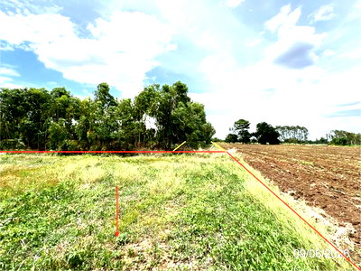 ขายที่ดิน : ที่ดินว่างเปล่า 2150 ตร.วา เมืองนครสวรรค์ นครสวรรค์ 1.1M