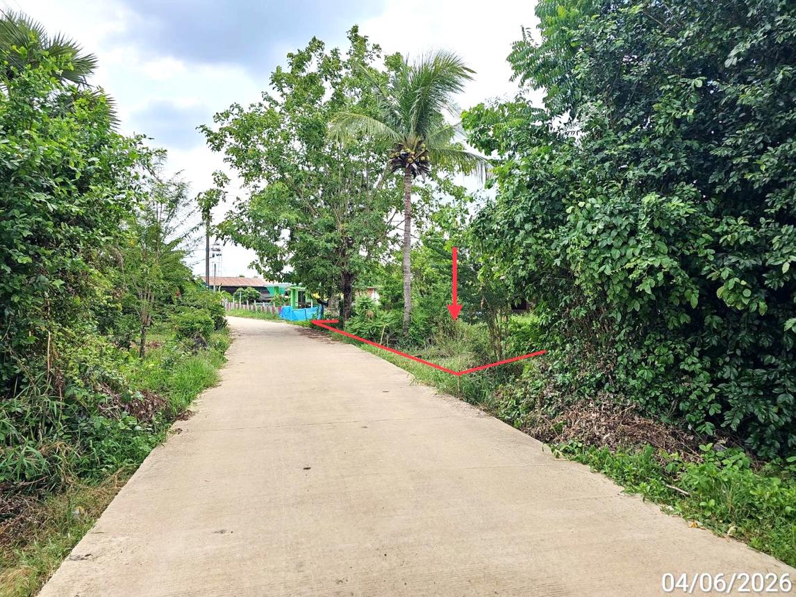 รูป ที่ดินว่างเปล่า 3912.5 ตร.วา บางระกำ พิษณุโลก 1.4M - รูปที่ 10/19