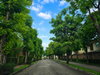 listing thumbnail image 17