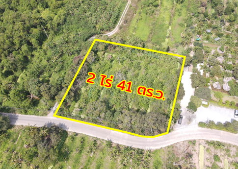 Land for sale, Soi Bang Kruang 45, Bang Kruang, Nonthaburi