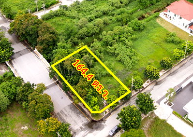 Land for sale TFD Industrial Estate : Land for sale in the Wichit Thani Bangna-Trad, Bang Pakong, Chachoengsao