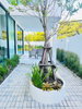 listing thumbnail image 20
