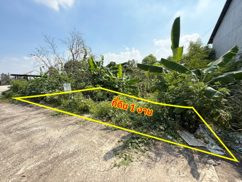 Vacant land for sale, Soi Wat Suan Kaew, Ratchaphruek Road, Bang Krang, Mueang Nonthaburi.