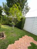 listing thumbnail image 3