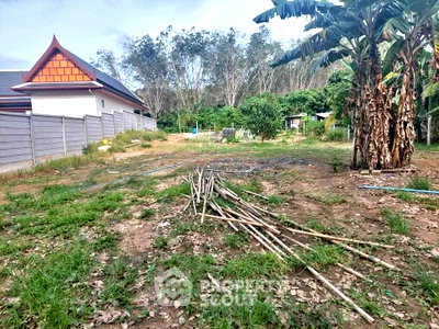 ที่ดิน ถลาง ภูเก็ต : ขายที่ดิน ในศรีสุนทร ถลาง ภูเก็ต (ID 2215041)