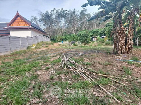 ขายที่ดิน ในศรีสุนทร ถลาง ภูเก็ต (ID 2215041)