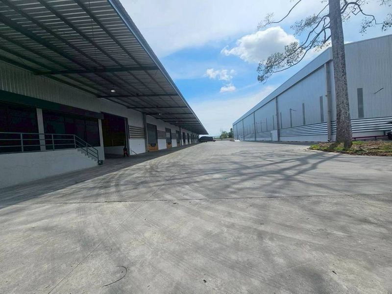 รูป ให้เช่าโรงงาน/คลังสินค้า 9700 ตรม.ใกล้ท่าเรือแหลมฉบัง ศรีราชา - รูปที่ 12/15