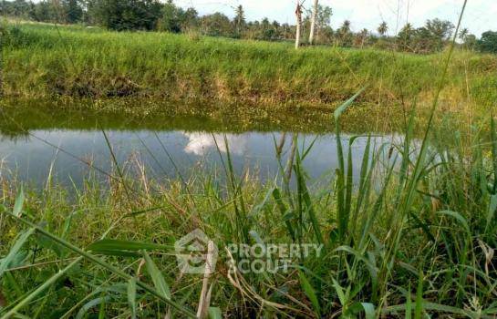 รูป ที่ดินสำหรับขาย บางพระ ศรีราชา ชลบุรี (ID 1972711) - รูปที่ 4/6