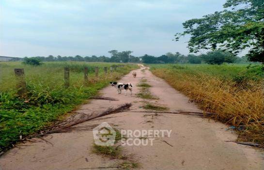 รูป ที่ดินสำหรับขาย บางพระ ศรีราชา ชลบุรี (ID 1972711) - รูปที่ 2/6