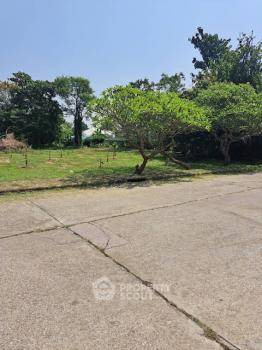 รูป ขายที่ดินทำเลบ้านเวียง หางดง เชียงใหม่ (ID 1969181) - รูปที่ 3/5