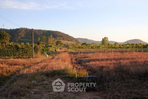 ที่ดินสำหรับขาย ในแม่ณวัง อำเภอแม่อาย จังหวัดเชียงใหม่ (ID 1552066)