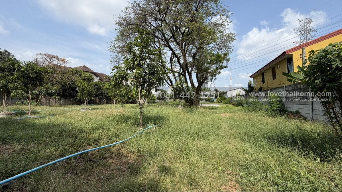 รูป ขายที่ดินถนนพัฒนาการ56 หมู่บ้านเอื้อสุขแมนชื่นพาร์ค พื้นที่ 987 ตรว. ราคาถูก ขายเพียง 120,000 บาท/ตรว.ใกล้bts สถานีพัฒนาการและแอร์พอร์ตลิ้งค์ - รูปที่ 2/8