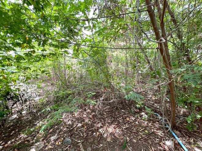 รูป ที่ดินว่างเปล่า 150 ตร.วา เขตลาดกระบัง กรุงเทพมหานคร 7.2M - รูปที่ 14/35