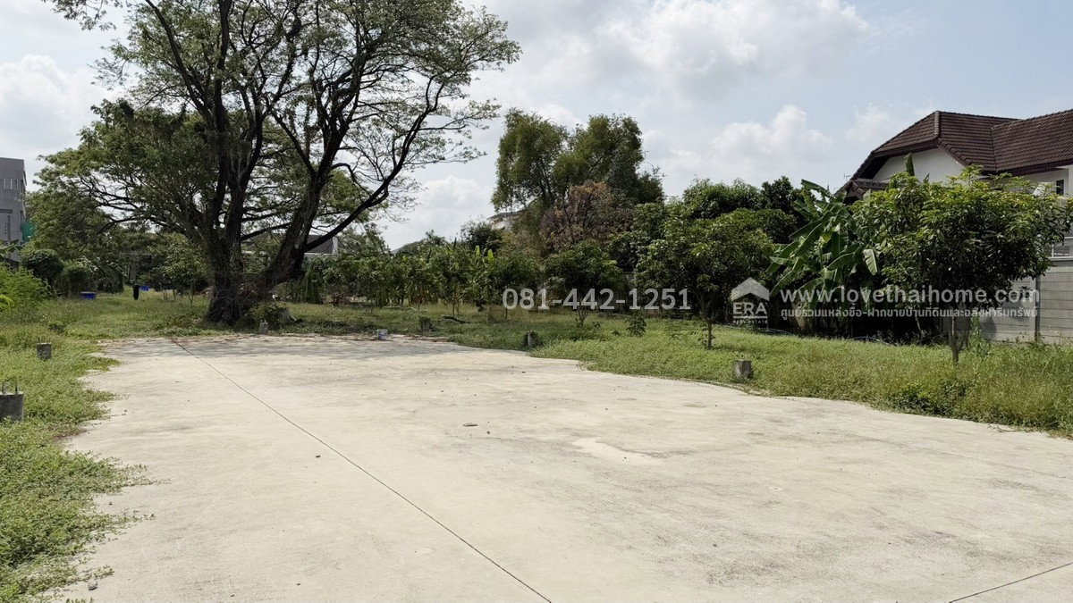 รูป ขายที่ดินถนนพัฒนาการ56 หมู่บ้านเอื้อสุขแมนชื่นพาร์ค พื้นที่ 987 ตรว. ราคาถูก ขายเพียง 120,000 บาท/ตรว.ใกล้bts สถานีพัฒนาการและแอร์พอร์ตลิ้งค์ - รูปที่ 4/8