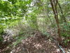 listing thumbnail image 28