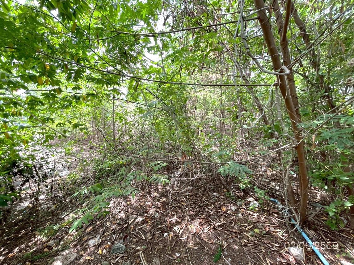 รูป ที่ดินว่างเปล่า 150 ตร.วา เขตลาดกระบัง กรุงเทพมหานคร 7.2M - รูปที่ 29/35