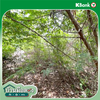 listing thumbnail image 32