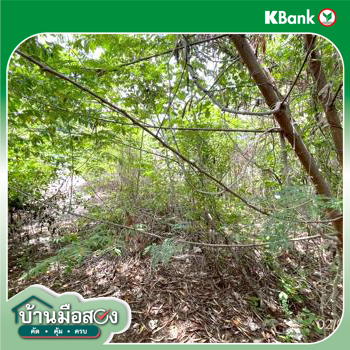 รูป ที่ดินว่างเปล่า 150 ตร.วา เขตลาดกระบัง กรุงเทพมหานคร 7.2M - รูปที่ 33/35