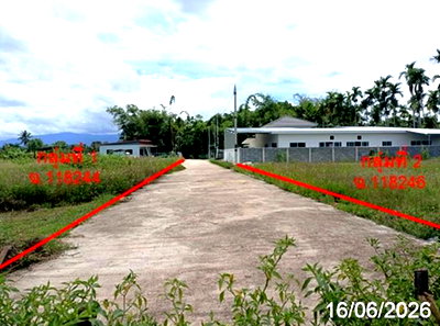 Land for sale Chiang Mai : LAND 468.8 Sq.w. San Sai Chiang Mai for 2.8M