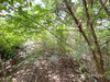 listing thumbnail image 31