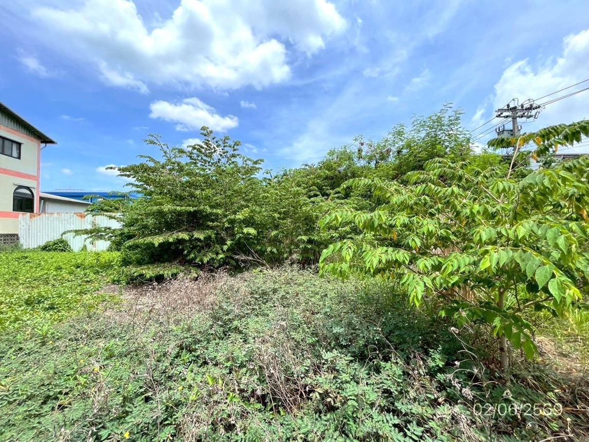 รูป ที่ดินว่างเปล่า 150 ตร.วา เขตลาดกระบัง กรุงเทพมหานคร 7.2M - รูปที่ 22/35