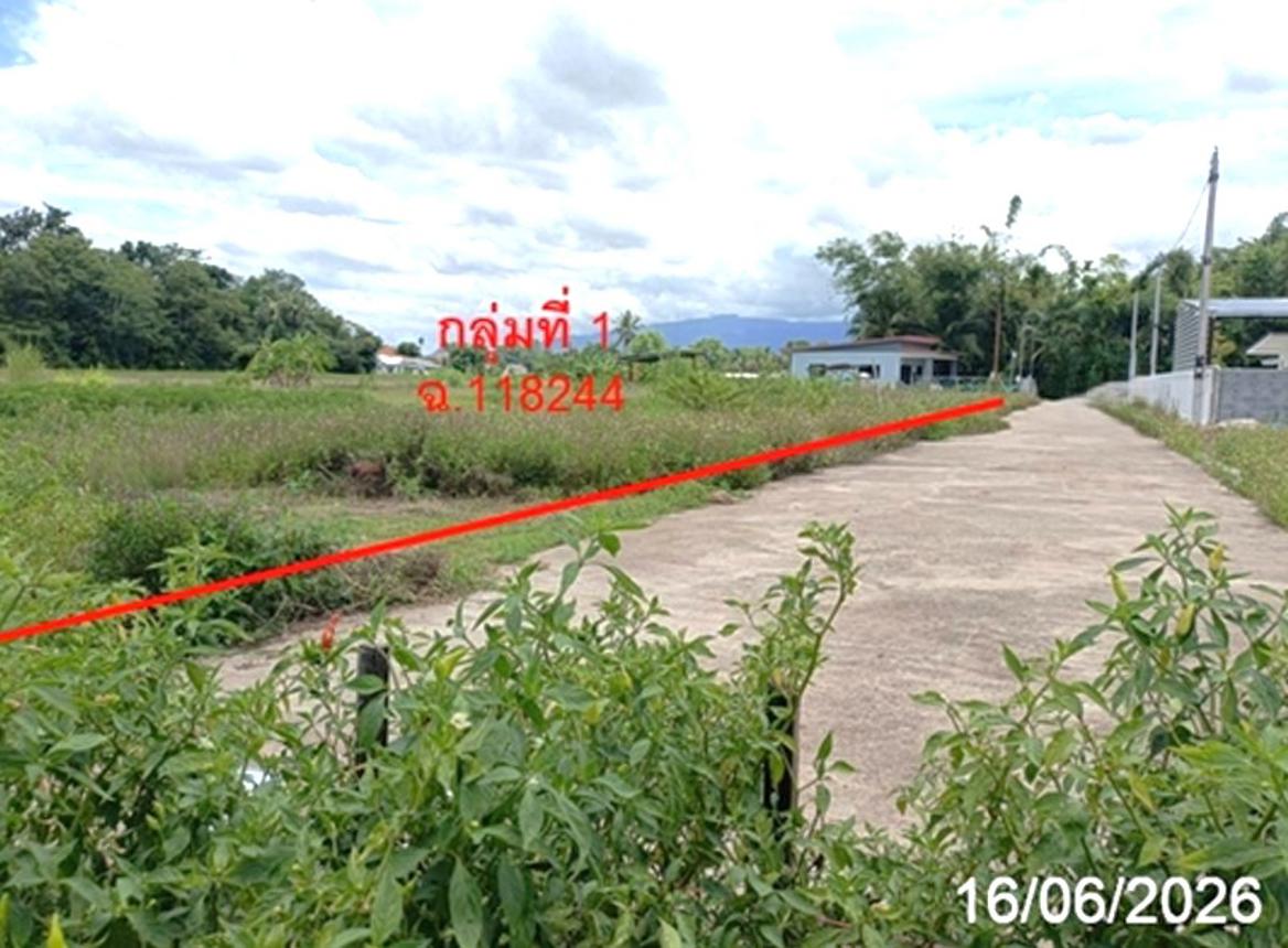 picture LAND 468.8 Sq.w. San Sai Chiang Mai for 2.8M - 12/21