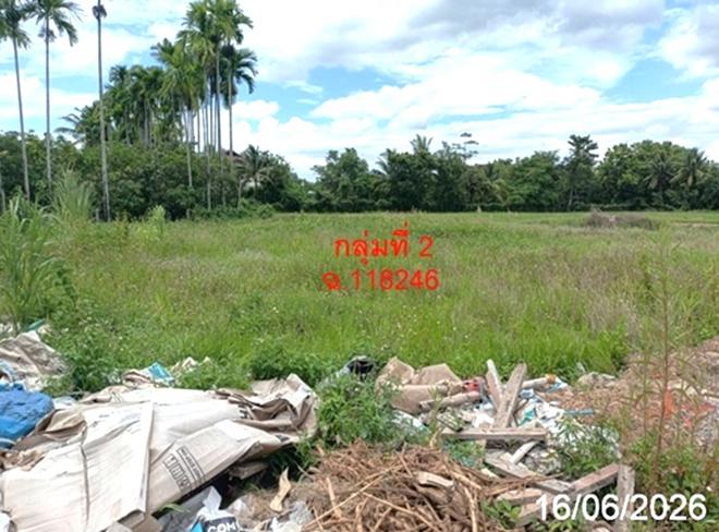picture LAND 468.8 Sq.w. San Sai Chiang Mai for 2.8M - 8/21
