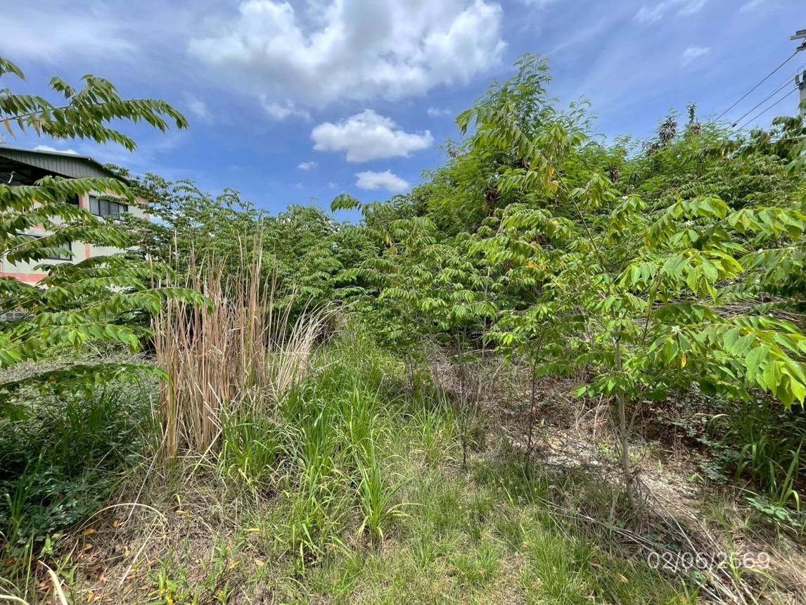 รูป ที่ดินว่างเปล่า 150 ตร.วา เขตลาดกระบัง กรุงเทพมหานคร 7.2M - รูปที่ 25/35