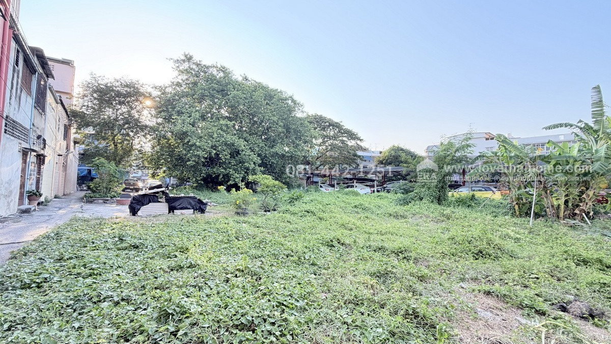 รูป ขายที่ดินซอยเพชรเกษม46/1 ห่างจากถนนใหญ่เพียง 60 เมตร พื้นที่ 263 ตรว. ขายเพียง 150,000 บาท/ตรว. ทำเลรถไฟฟ้าสายสีน้ำเงิน MRT ใกล้สถานีเพชรเกษม48 - รูปที่ 5/8