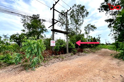 ที่ดิน ลำลูกกา คลองสอง : ขายที่ดิน 202 ตร.ว. รังสิตคลอง 1 รังสิต-นครนายก 25-27 ใกล้ฟิวเจอร์พาร์ค ปทุมธานี 