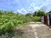 listing thumbnail image 20
