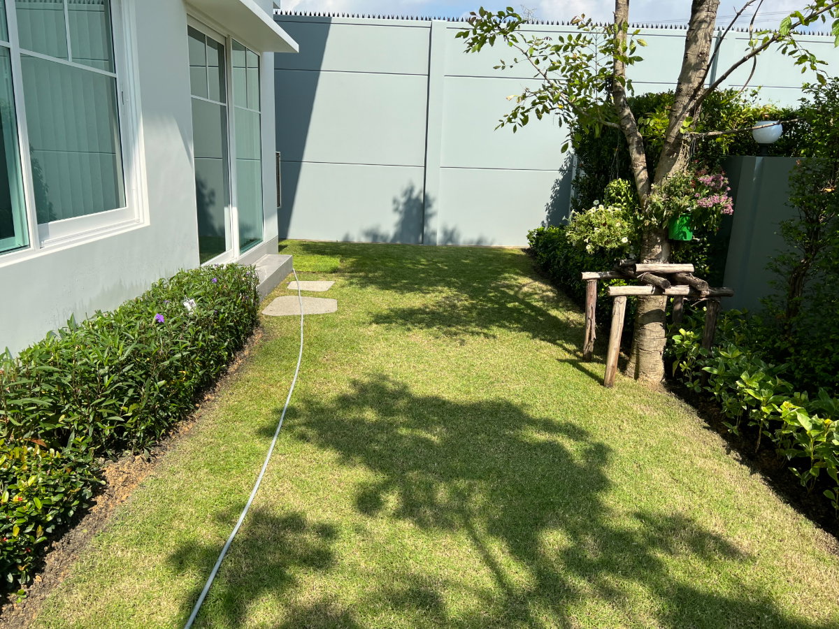 รูป ✨ บ้านติดสวน บรรยากาศร่มรื่น พร้อมเฟอร์นิเจอร์ครบ เข้าอยู่ได้ทันที - รูปที่ 1/15