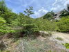 listing thumbnail image 26