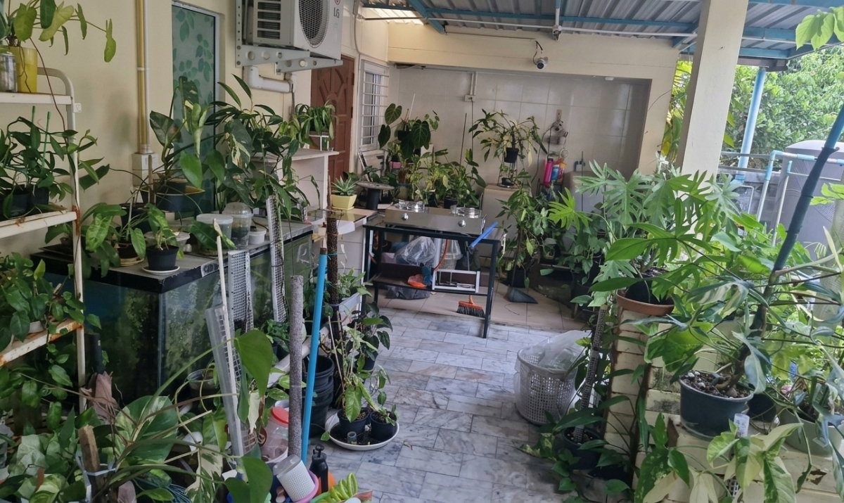 รูป ให้เช่า บ้านเดี่ยวหลังใหญ่ 4 ห้องนอน 3 ห้องน้ำ พื้นที่เยอะ บางแสน-อ่างศิลา  - รูปที่ 19/19
