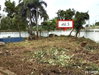 listing thumbnail image 39