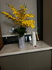 listing thumbnail image 27