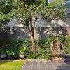 listing thumbnail image 9